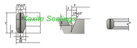 RX ring joint gasket self-energizing cross section