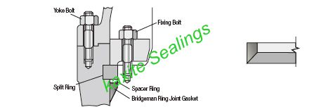 SRX and SBX subsea ring gasket with vent holes